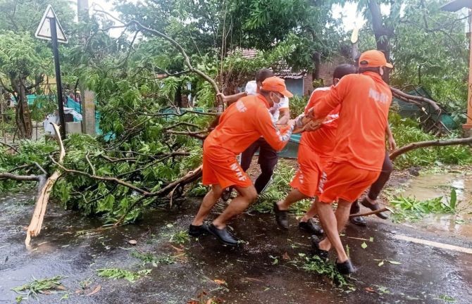 NDRF personnel removing the uprooted trees from the roads after the landfall of Cyclone Nisarg at Alibaug in Raigad on Wednesday. (ANI Photo)